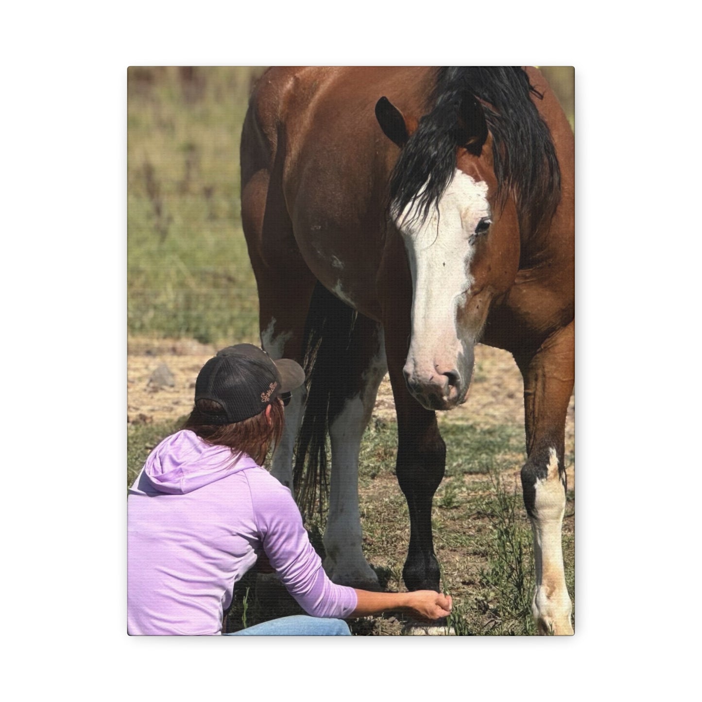 Equestrian Canvas Print, Horse Art, Farm Decor, Animal Lover Gift, Wall Art, Gift for Horse Owners - Full Scope Survival 