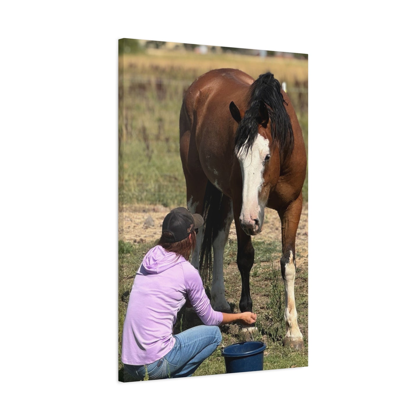 Equestrian Canvas Print, Horse Art, Farm Decor, Animal Lover Gift, Wall Art, Gift for Horse Owners - Full Scope Survival 