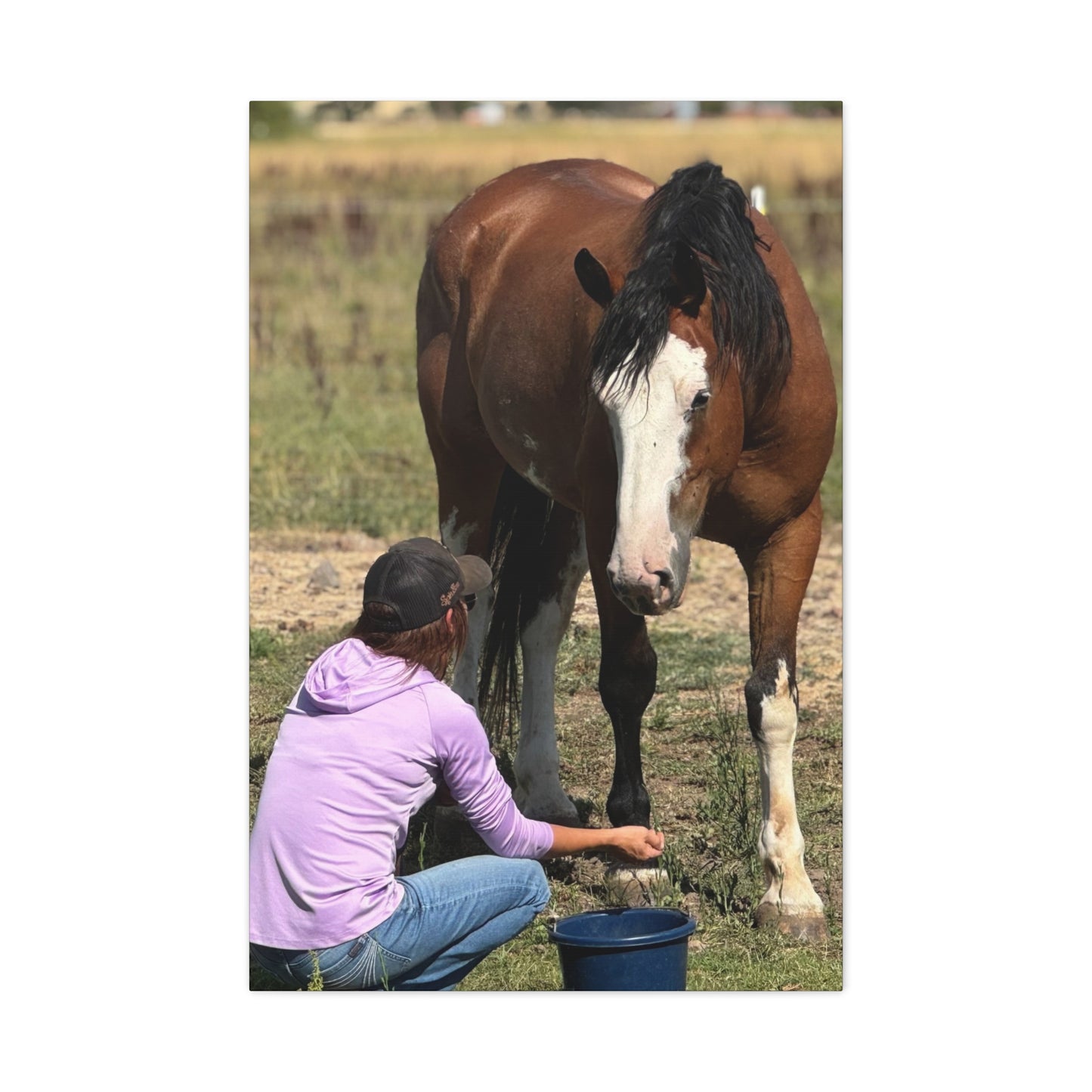 Equestrian Canvas Print, Horse Art, Farm Decor, Animal Lover Gift, Wall Art, Gift for Horse Owners
