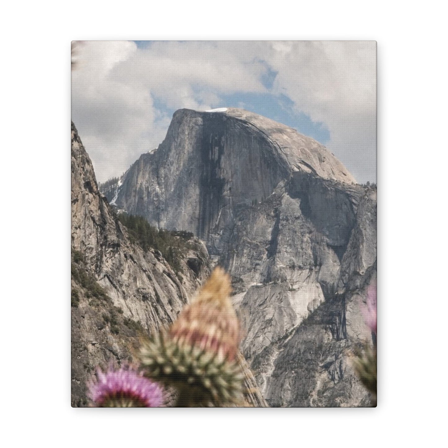 Mountain Floral Canvas Art Print, Wall Decor, Nature Painting, Living Room Art, Gift for Nature Lovers, Home Decoration, Gallery Wall