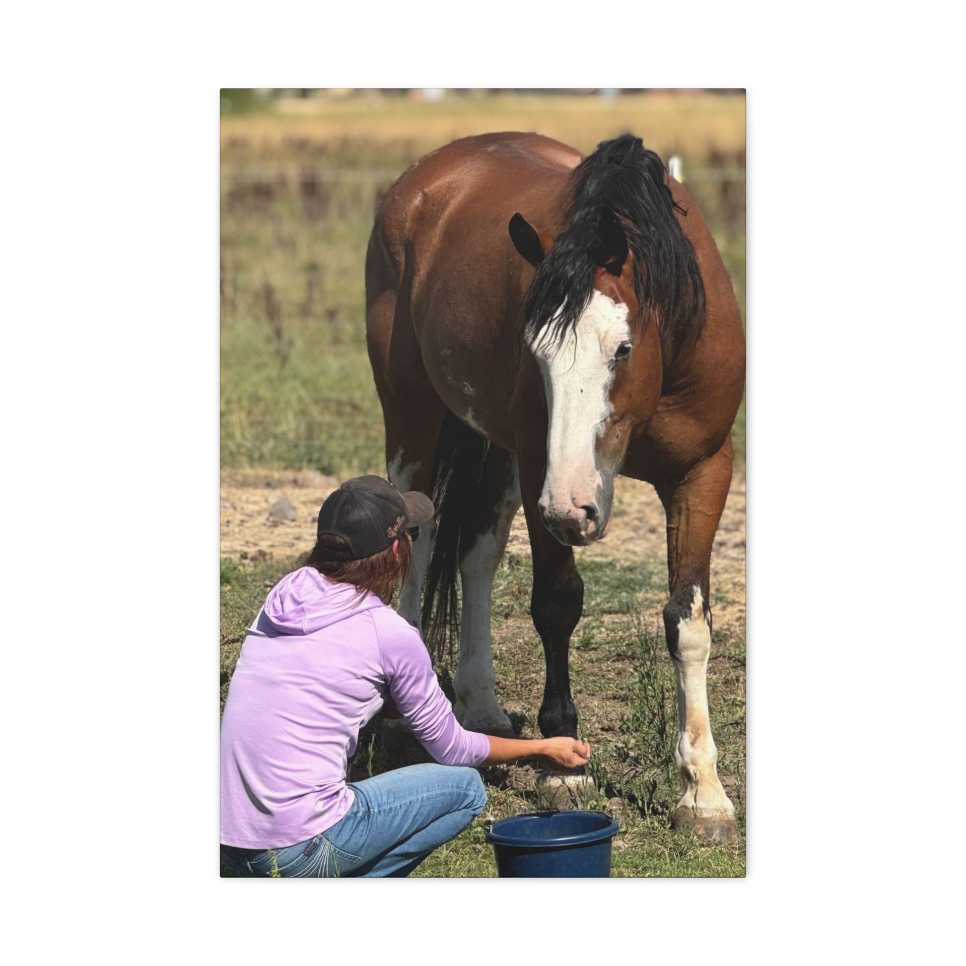 Equestrian Canvas Print, Horse Art, Farm Decor, Animal Lover Gift, Wall Art, Gift for Horse Owners - Full Scope Survival 