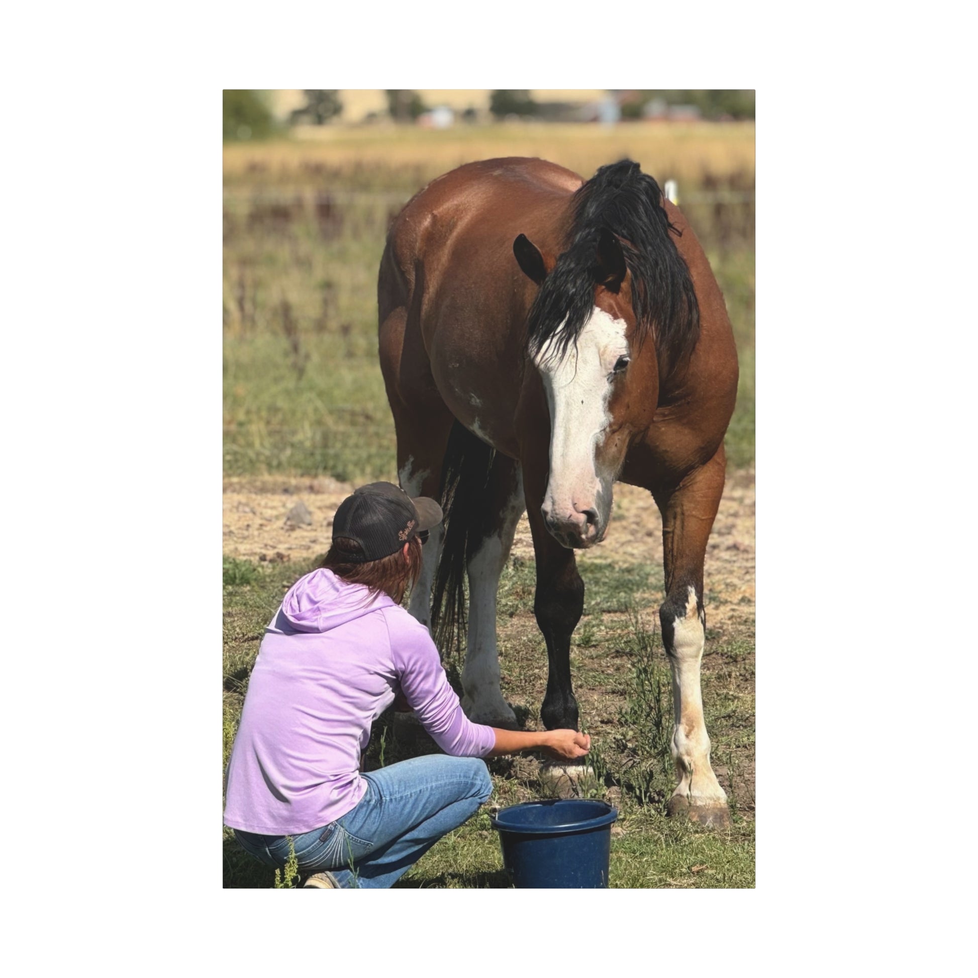 Equestrian Canvas Print, Horse Art, Farm Decor, Animal Lover Gift, Wall Art, Gift for Horse Owners - Full Scope Survival 