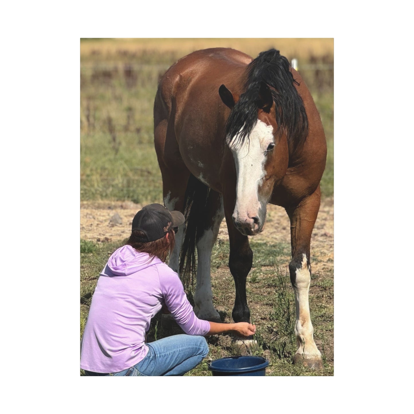 Equestrian Canvas Print, Horse Art, Farm Decor, Animal Lover Gift, Wall Art, Gift for Horse Owners - Full Scope Survival 