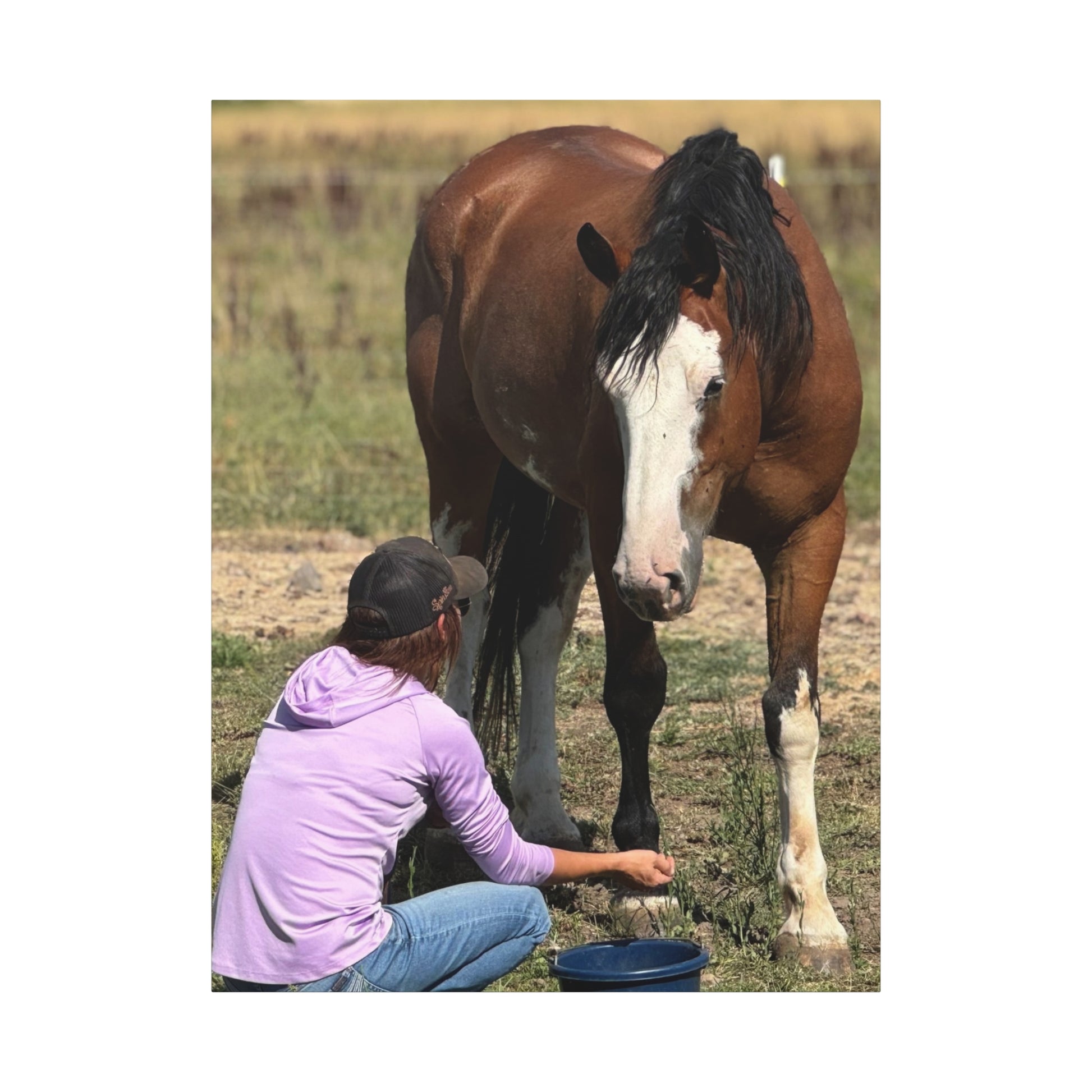 Equestrian Canvas Print, Horse Art, Farm Decor, Animal Lover Gift, Wall Art, Gift for Horse Owners - Full Scope Survival 
