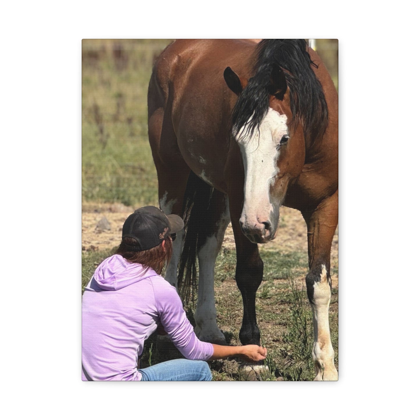 Equestrian Canvas Print, Horse Art, Farm Decor, Animal Lover Gift, Wall Art, Gift for Horse Owners - Full Scope Survival 