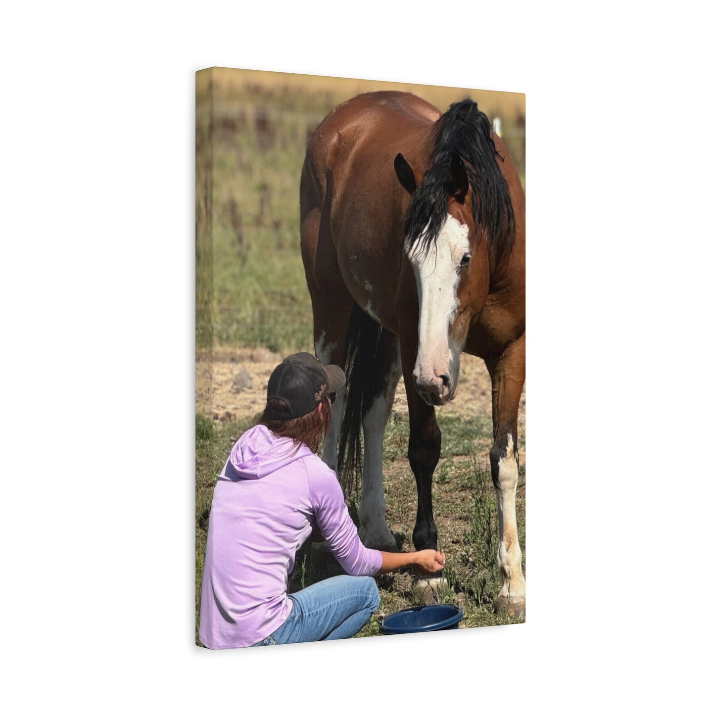 Equestrian Canvas Print, Horse Art, Farm Decor, Animal Lover Gift, Wall Art, Gift for Horse Owners - Full Scope Survival 