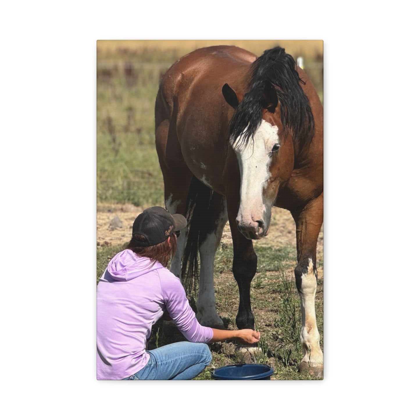 Equestrian Canvas Print, Horse Art, Farm Decor, Animal Lover Gift, Wall Art, Gift for Horse Owners - Full Scope Survival 