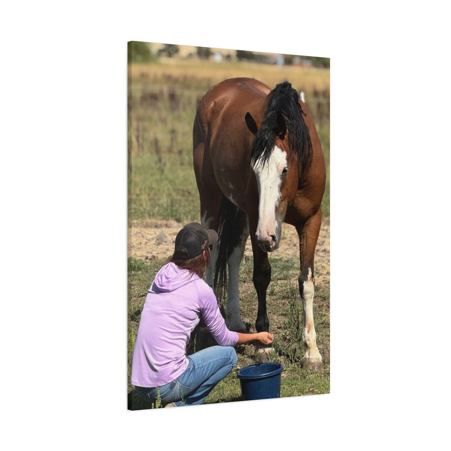 Equestrian Canvas Print, Horse Art, Farm Decor, Animal Lover Gift, Wall Art, Gift for Horse Owners - Full Scope Survival 