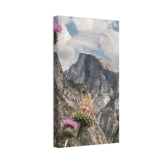 Mountain Floral Canvas Art Print, Wall Decor, Nature Painting, Living Room Art, Gift for Nature Lovers, Home Decoration, Gallery Wall - Full Scope Survival 