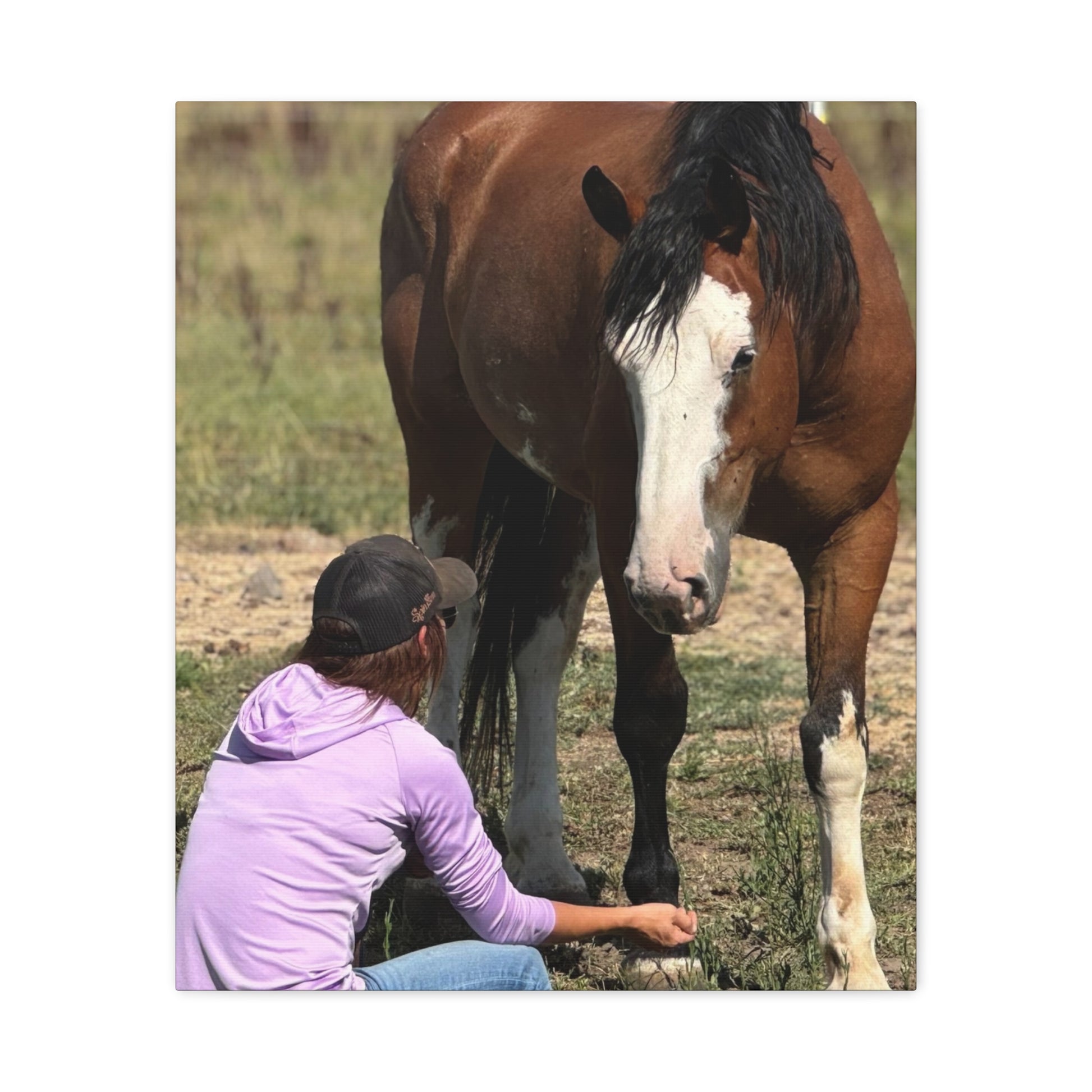 Equestrian Canvas Print, Horse Art, Farm Decor, Animal Lover Gift, Wall Art, Gift for Horse Owners - Full Scope Survival 