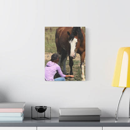 Equestrian Canvas Print, Horse Art, Farm Decor, Animal Lover Gift, Wall Art, Gift for Horse Owners