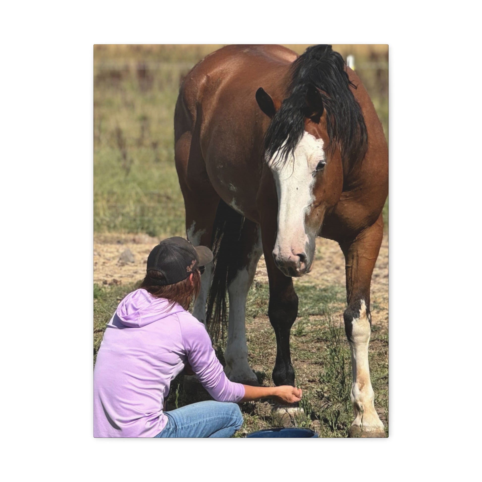 Equestrian Canvas Print, Horse Art, Farm Decor, Animal Lover Gift, Wall Art, Gift for Horse Owners - Full Scope Survival 