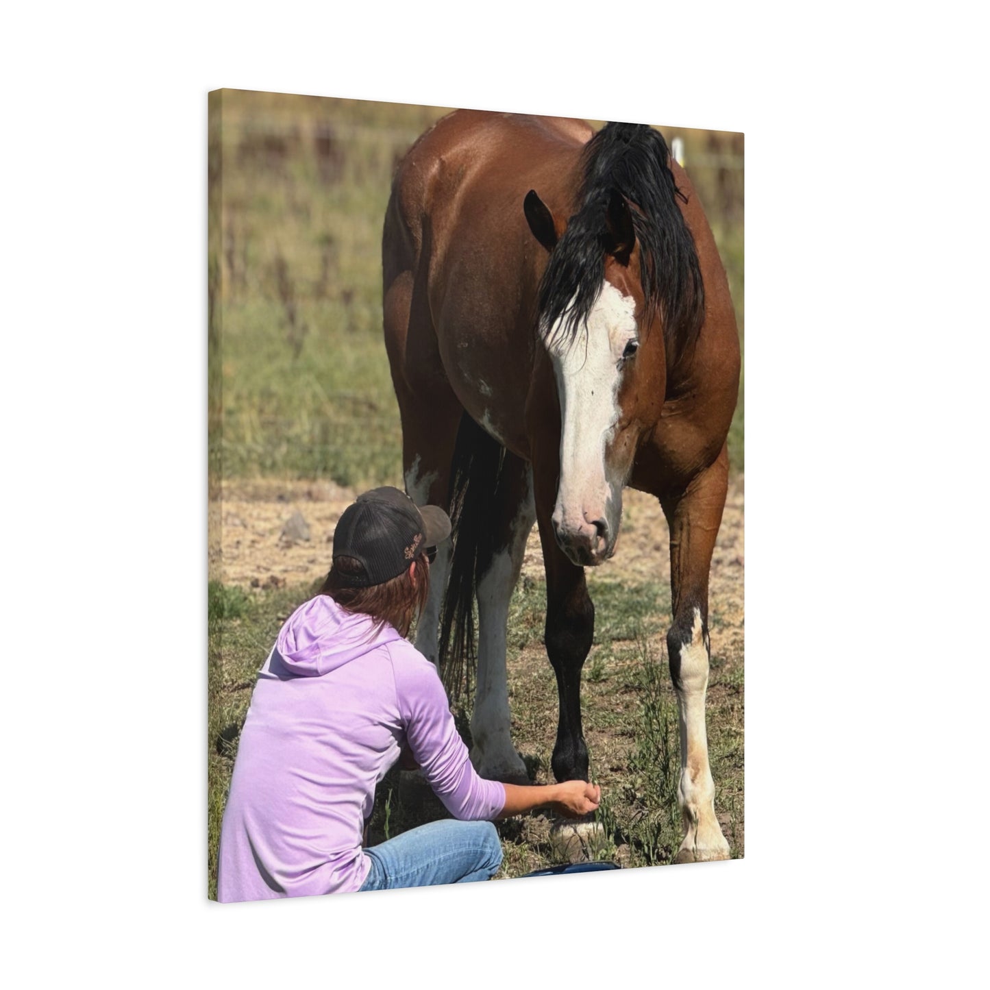 Equestrian Canvas Print, Horse Art, Farm Decor, Animal Lover Gift, Wall Art, Gift for Horse Owners - Full Scope Survival 