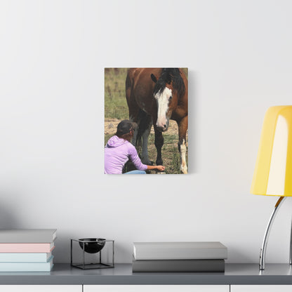 Equestrian Canvas Print, Horse Art, Farm Decor, Animal Lover Gift, Wall Art, Gift for Horse Owners