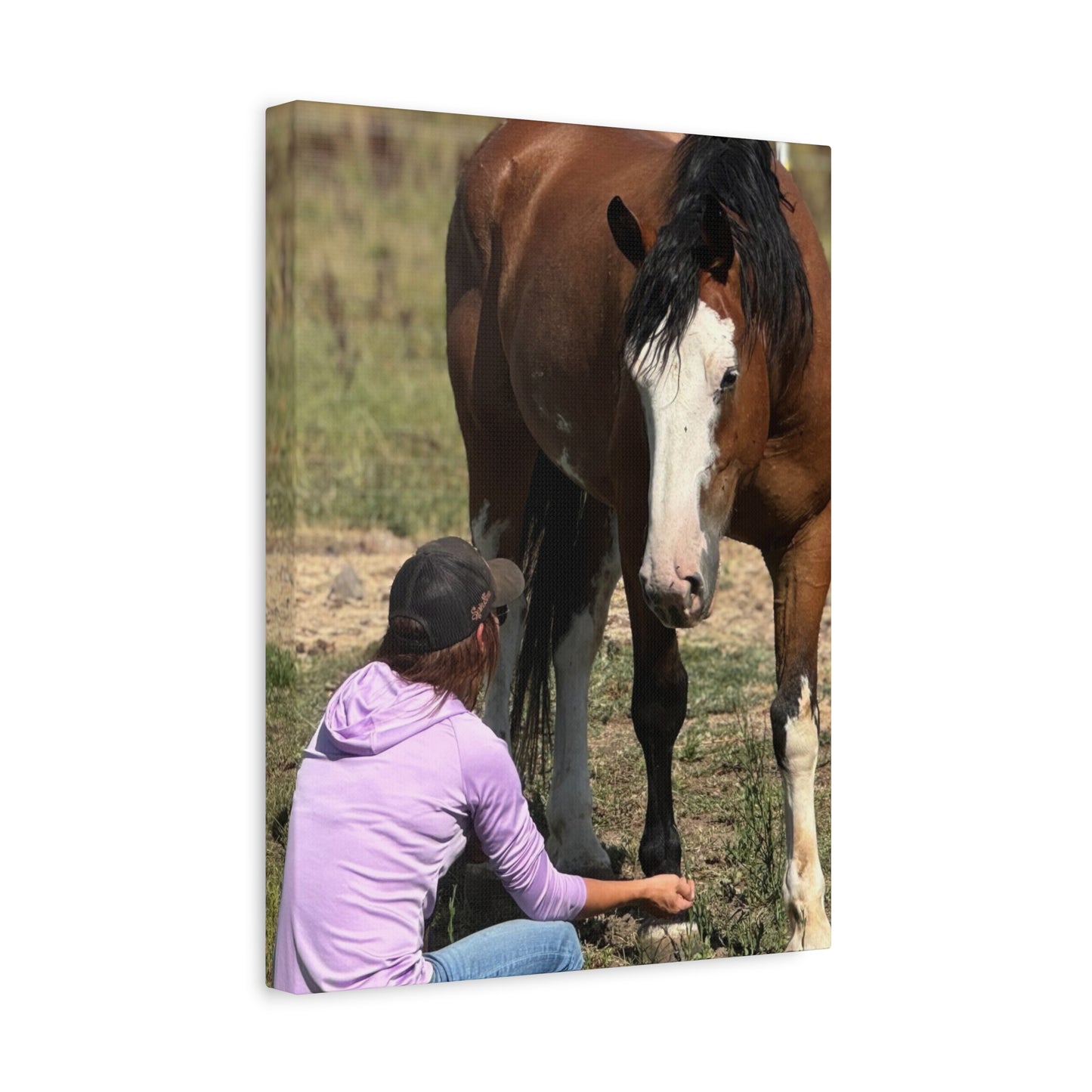 Equestrian Canvas Print, Horse Art, Farm Decor, Animal Lover Gift, Wall Art, Gift for Horse Owners