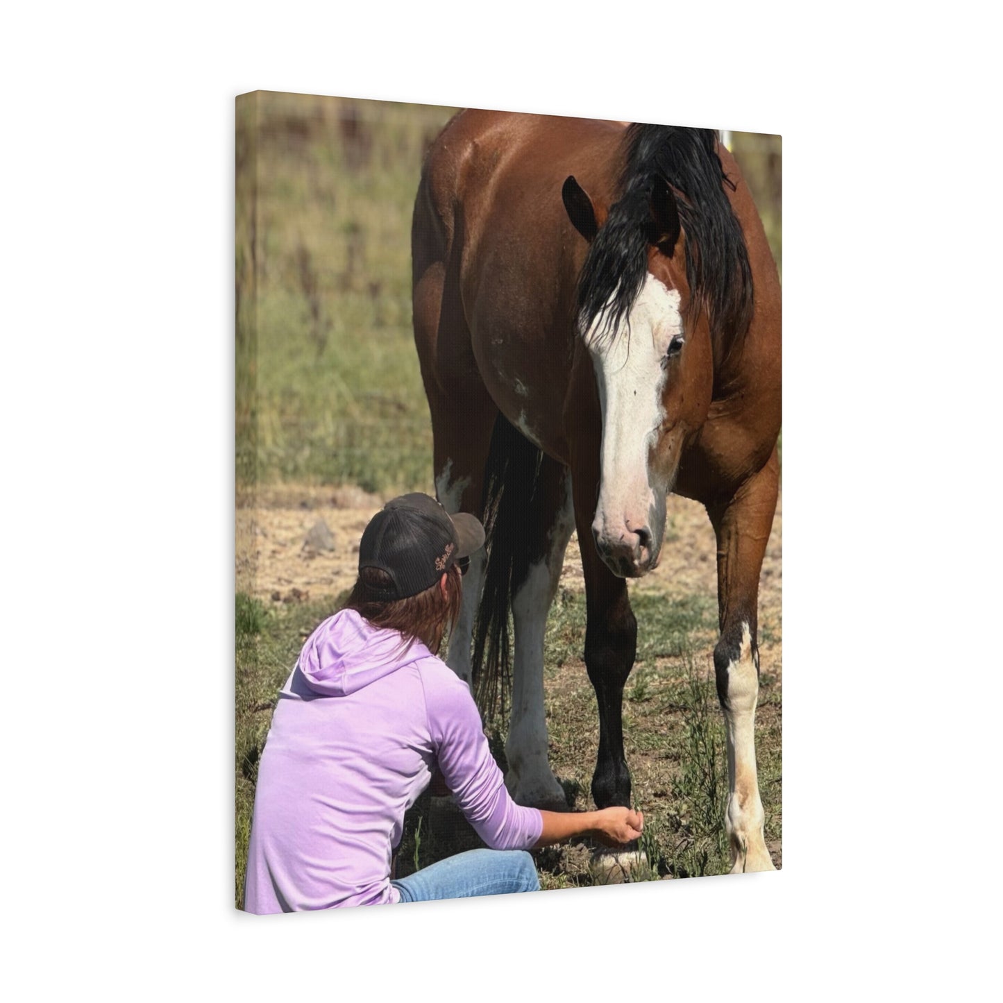 Equestrian Canvas Print, Horse Art, Farm Decor, Animal Lover Gift, Wall Art, Gift for Horse Owners - Full Scope Survival 