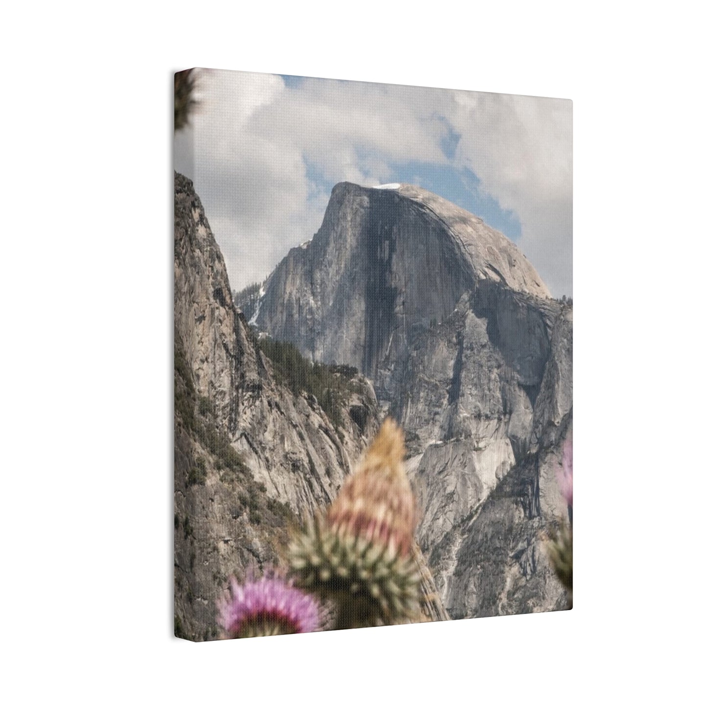 Mountain Floral Canvas Art Print, Wall Decor, Nature Painting, Living Room Art, Gift for Nature Lovers, Home Decoration, Gallery Wall