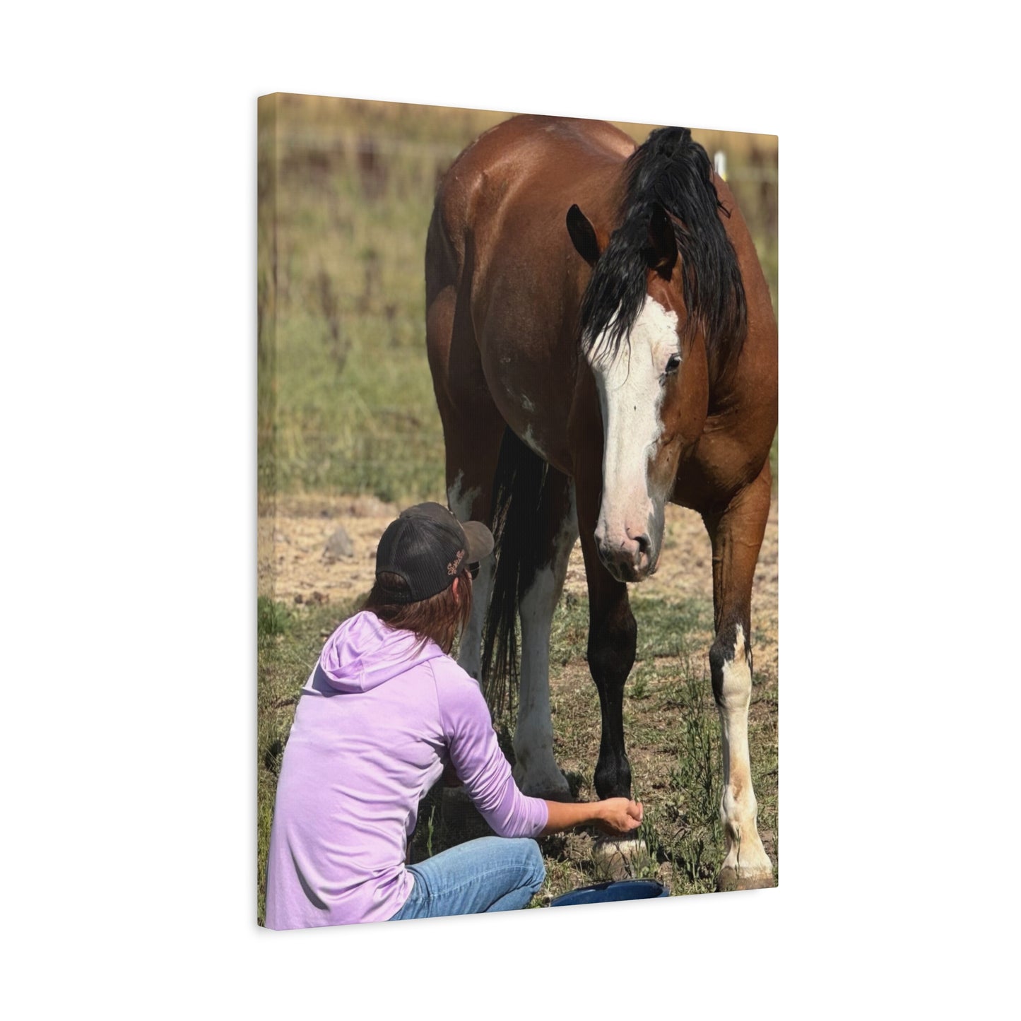 Equestrian Canvas Print, Horse Art, Farm Decor, Animal Lover Gift, Wall Art, Gift for Horse Owners - Full Scope Survival 