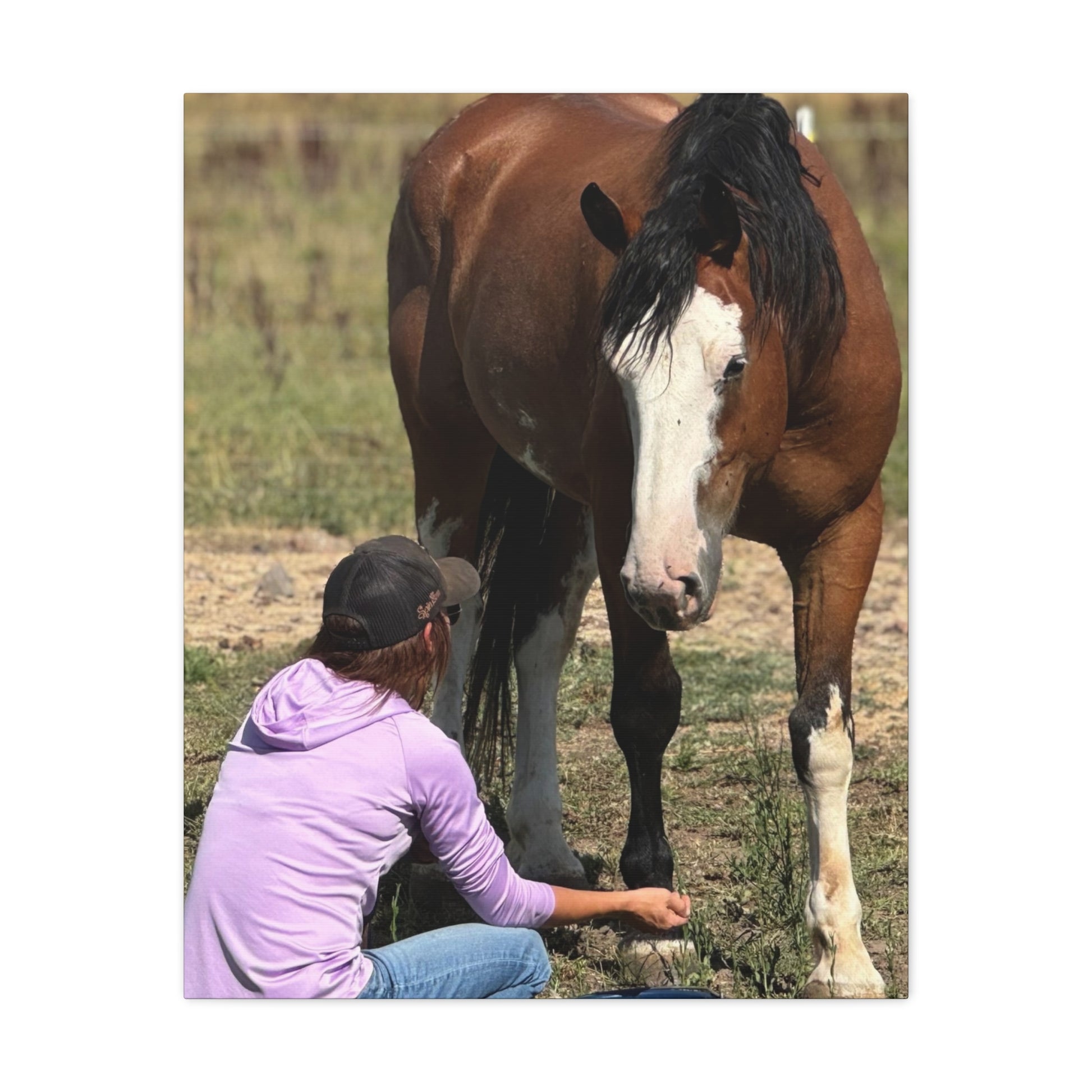 Equestrian Canvas Print, Horse Art, Farm Decor, Animal Lover Gift, Wall Art, Gift for Horse Owners - Full Scope Survival 