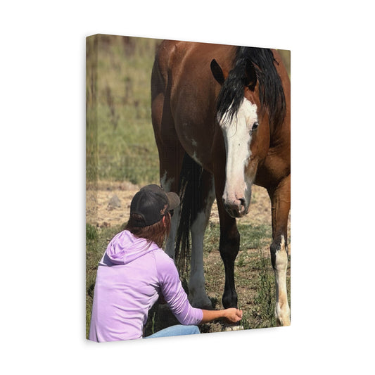 Equestrian Canvas Print, Horse Art, Farm Decor, Animal Lover Gift, Wall Art, Gift for Horse Owners