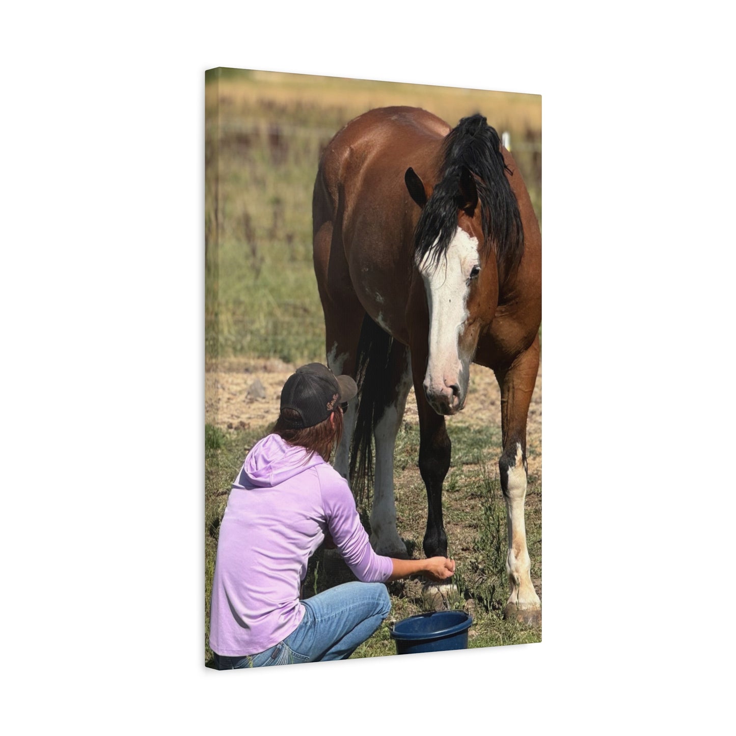Equestrian Canvas Print, Horse Art, Farm Decor, Animal Lover Gift, Wall Art, Gift for Horse Owners