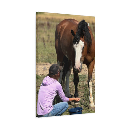 Equestrian Canvas Print, Horse Art, Farm Decor, Animal Lover Gift, Wall Art, Gift for Horse Owners