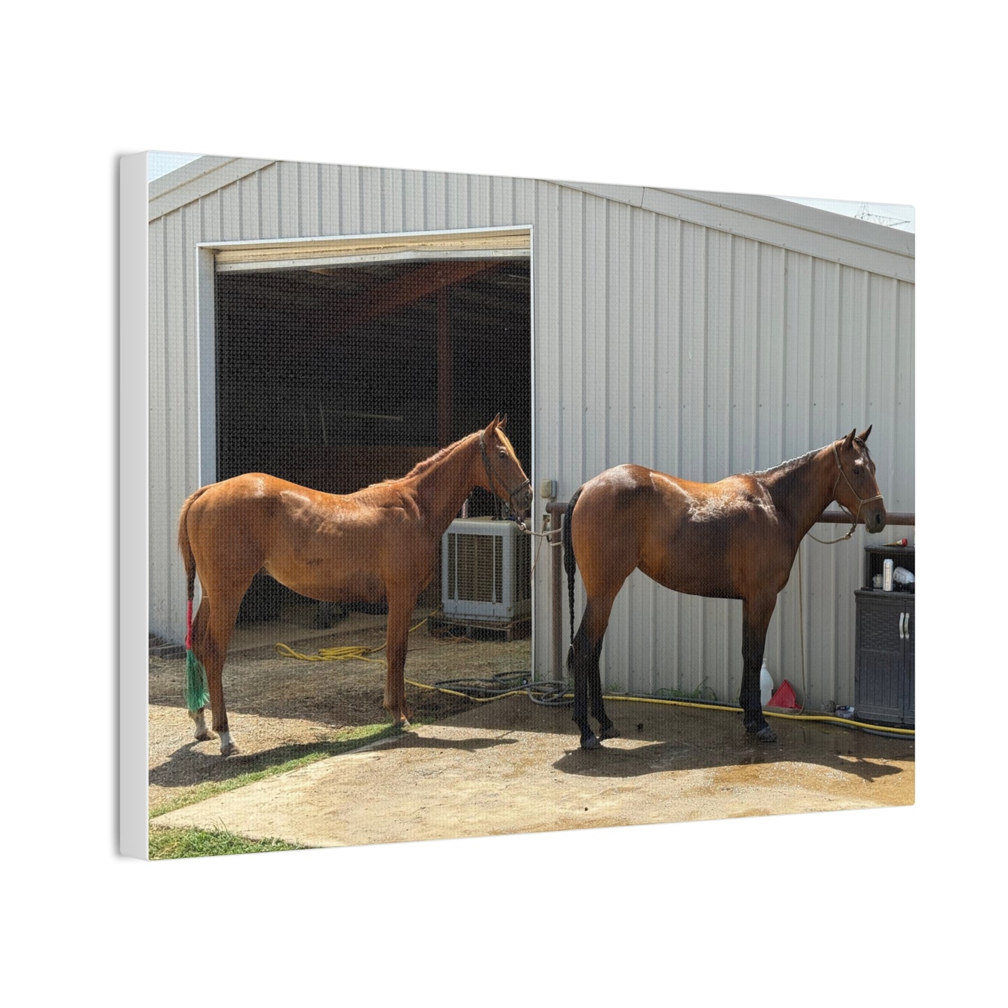 Horse Canvas Print, Rustic Farm Decor, Equestrian Art, Horse Lover Gift, Animal Home Wall Art - Full Scope Survival 