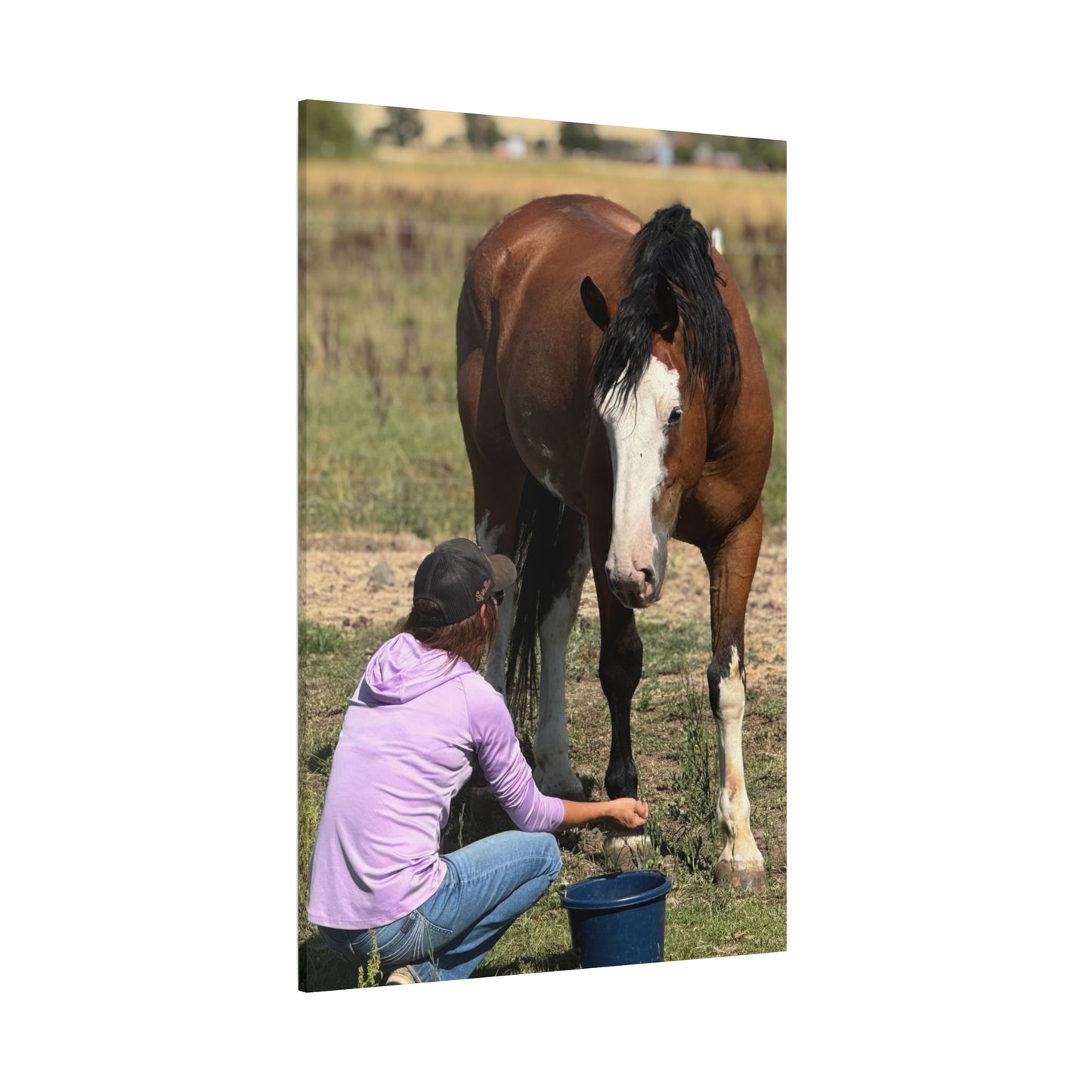 Equestrian Canvas Print, Horse Art, Farm Decor, Animal Lover Gift, Wall Art, Gift for Horse Owners - Full Scope Survival 