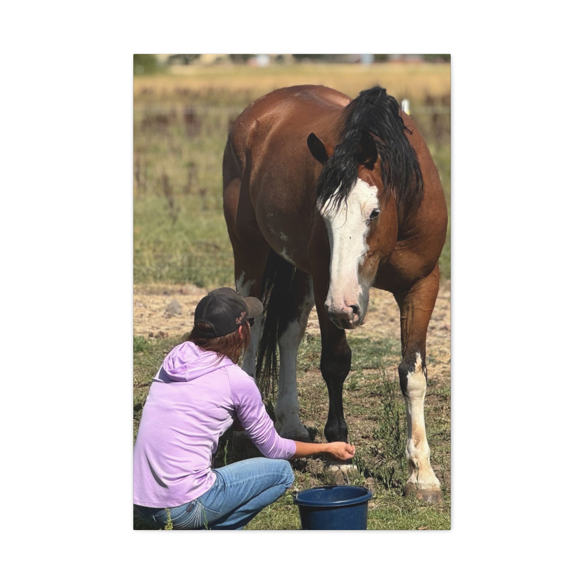 Equestrian Canvas Print, Horse Art, Farm Decor, Animal Lover Gift, Wall Art, Gift for Horse Owners - Full Scope Survival 