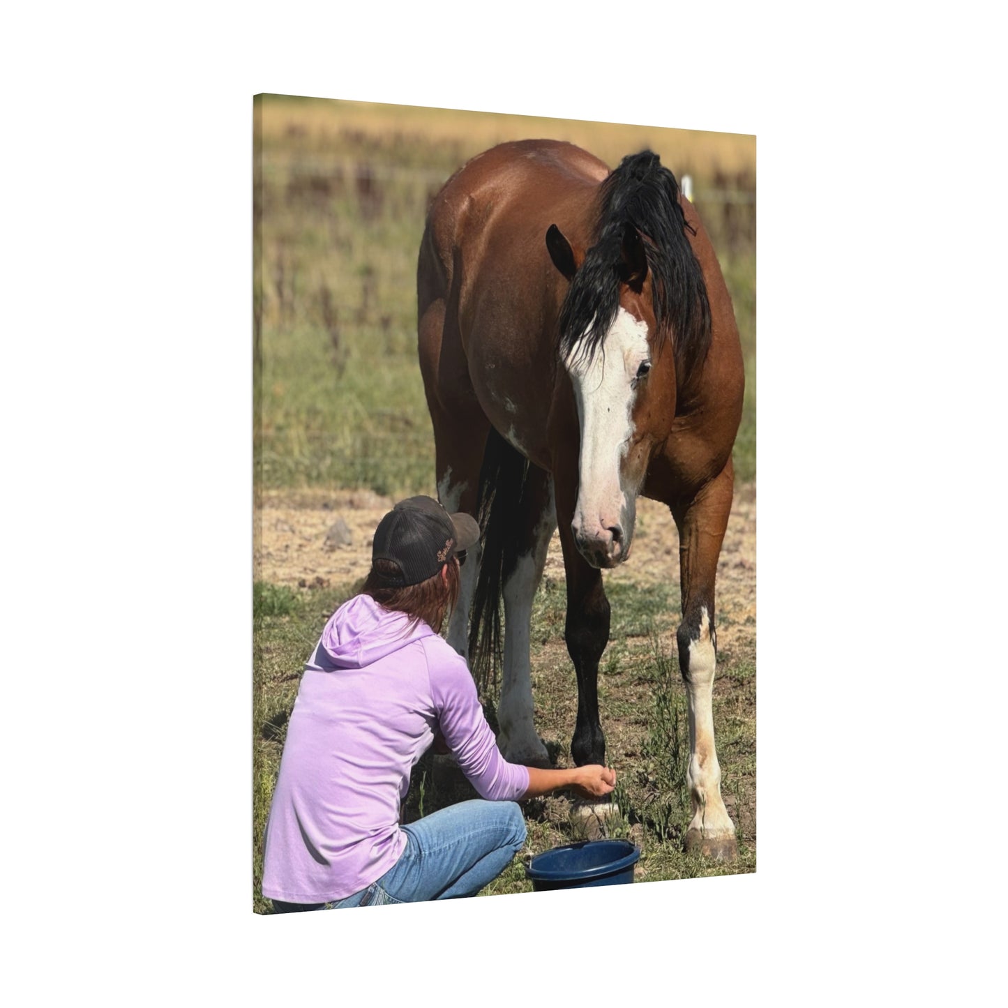 Equestrian Canvas Print, Horse Art, Farm Decor, Animal Lover Gift, Wall Art, Gift for Horse Owners - Full Scope Survival 