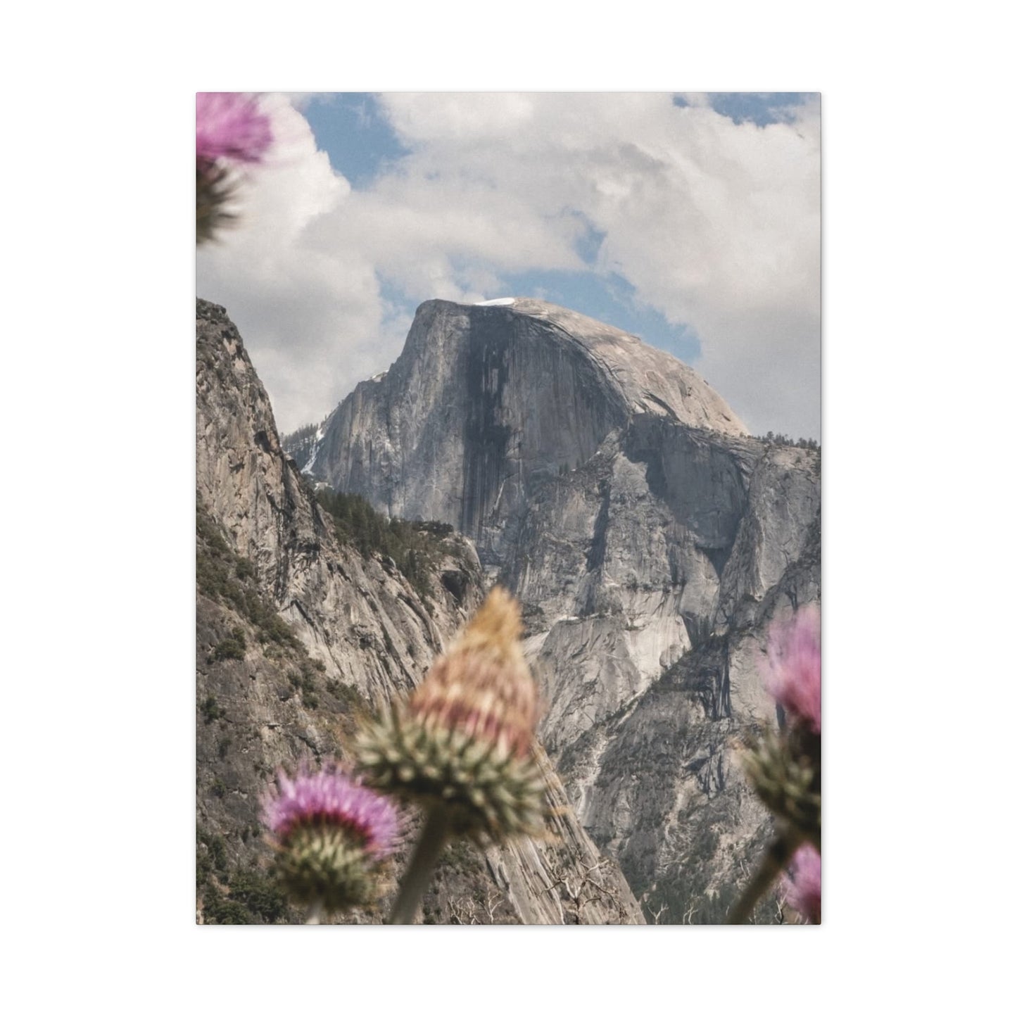 Mountain Floral Canvas Art Print, Wall Decor, Nature Painting, Living Room Art, Gift for Nature Lovers, Home Decoration, Gallery Wall