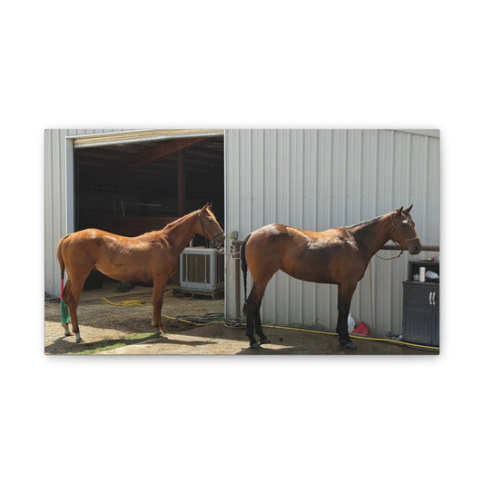 Horse Canvas Print, Rustic Farm Decor, Equestrian Art, Horse Lover Gift, Animal Home Wall Art - Full Scope Survival 