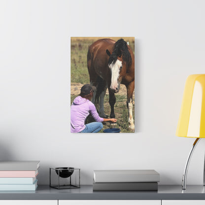 Equestrian Canvas Print, Horse Art, Farm Decor, Animal Lover Gift, Wall Art, Gift for Horse Owners - Full Scope Survival 